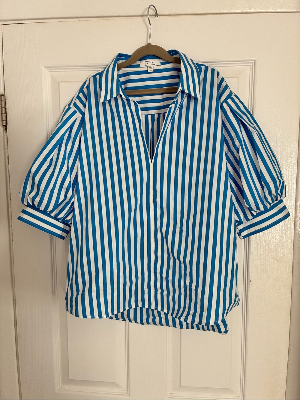 AYR Blue and White Striped Button-Front Shirt